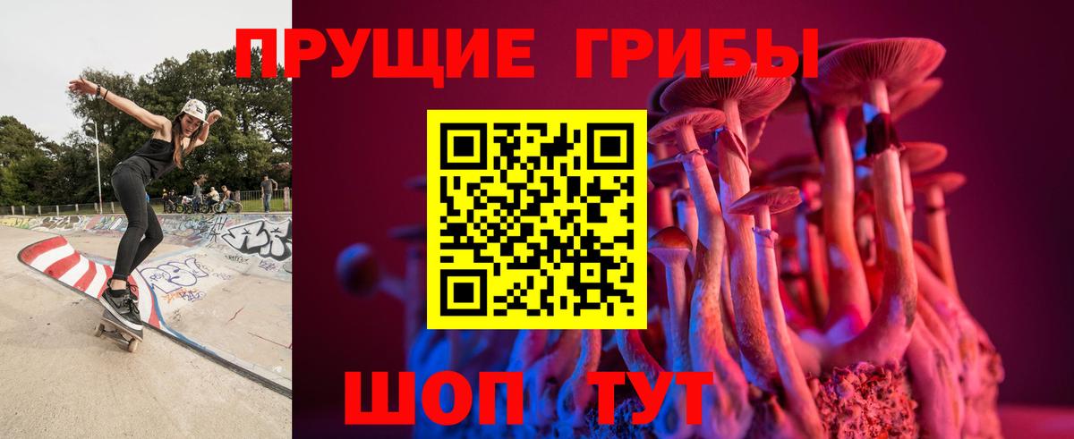 Псилоцибиновые грибы Cubensis Елабуга
