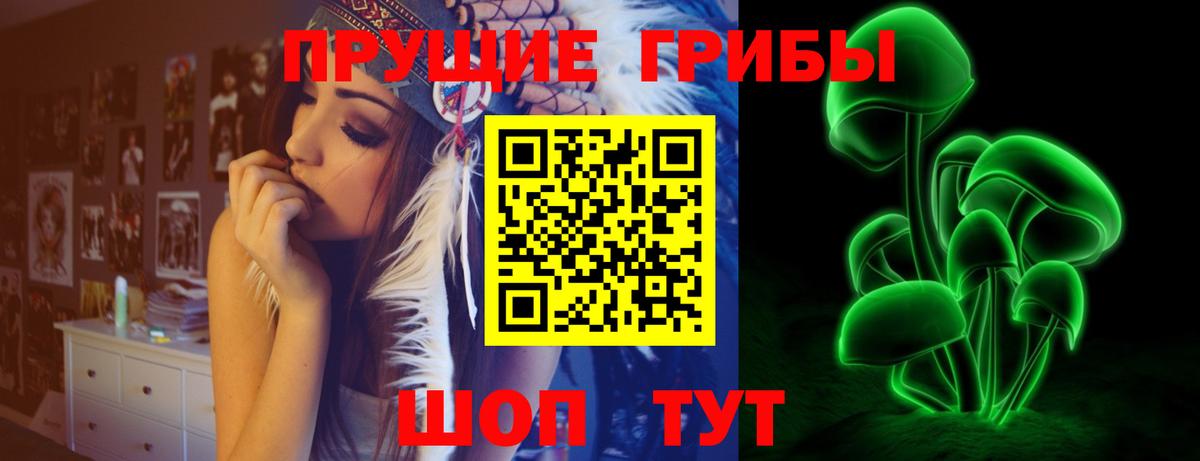 Псилоцибиновые грибы Cubensis  Вход с VPN  Галлюциногенные грибы GOLDEN TEACHER  Елабуга 